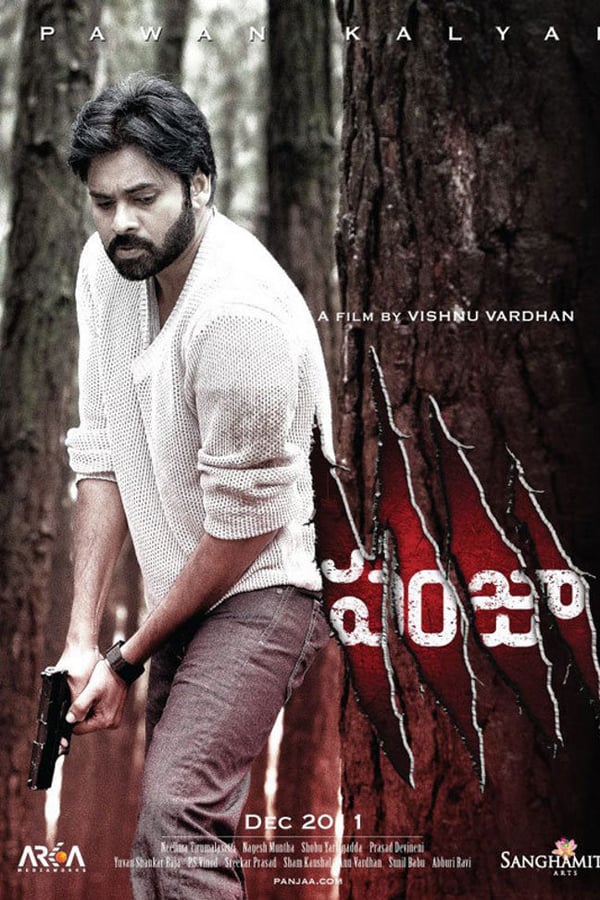 Cover of the movie Panjaa