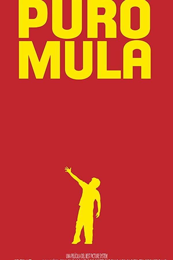 Cover of the movie Puro Mula