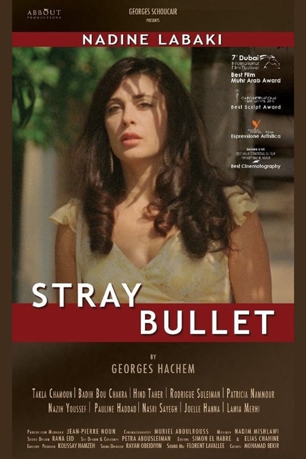 Cover of the movie Stray Bullet