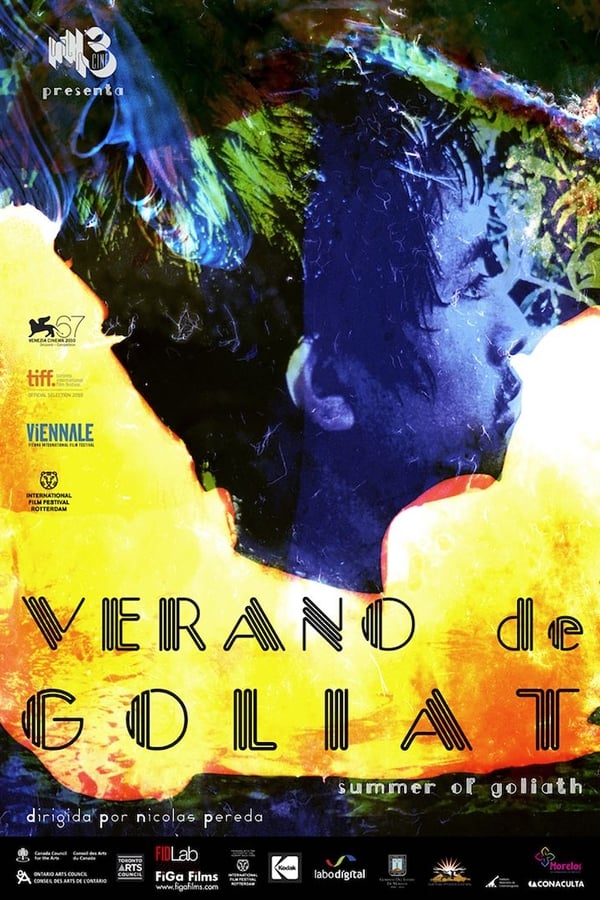 Cover of the movie Summer of Goliath