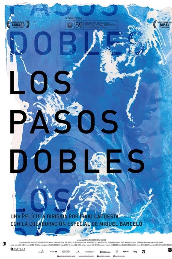 Cover of the movie The Double Steps
