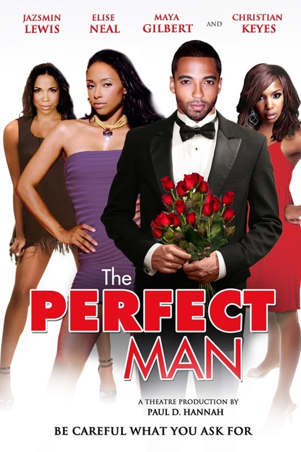 Cover of the movie The Perfect Man