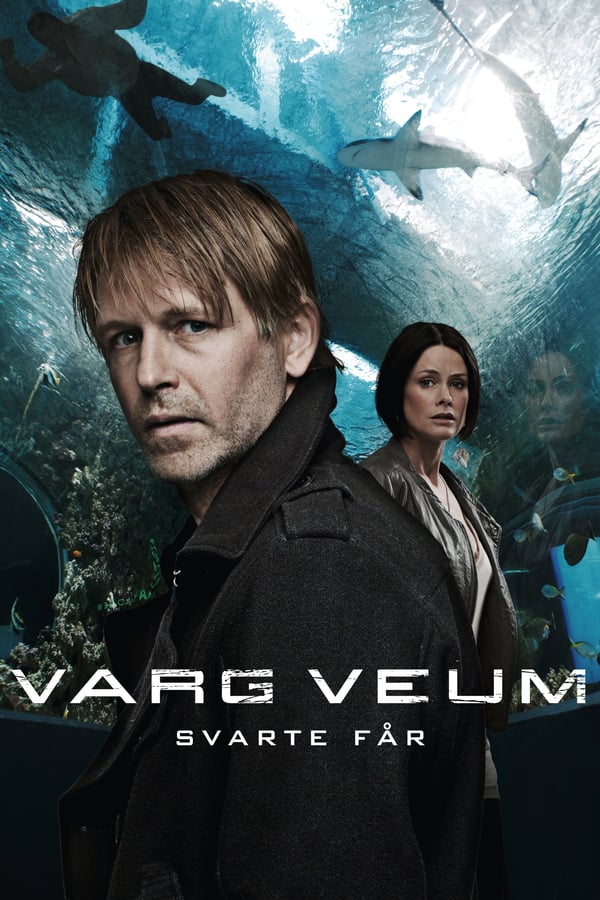 Cover of the movie Varg Veum - Black Sheep