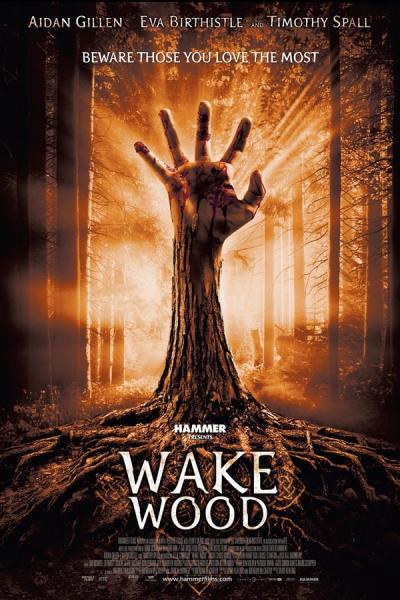 Cover of the movie Wake Wood