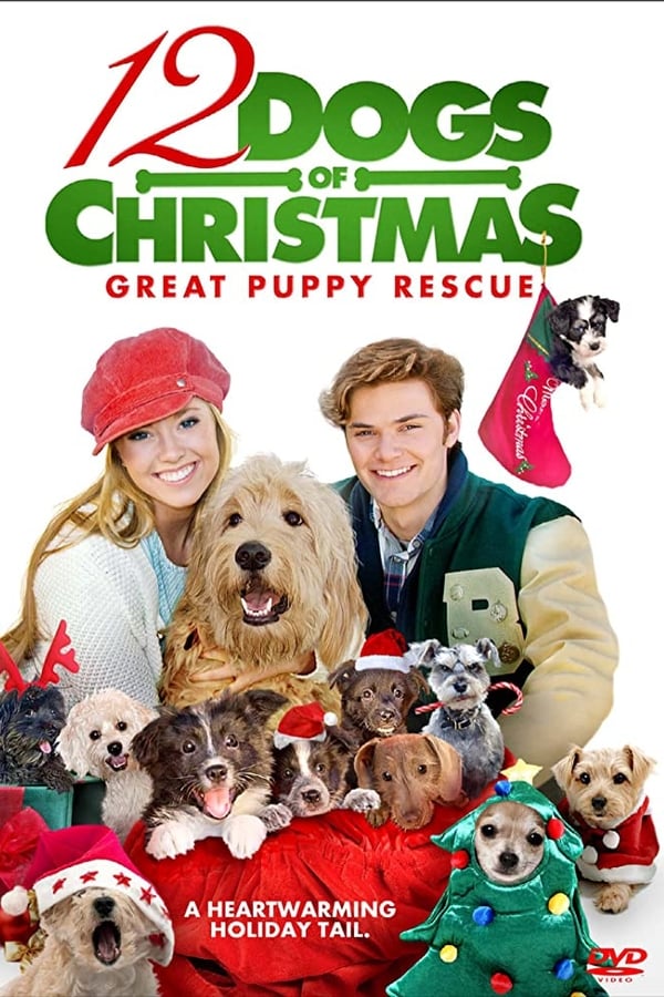 Cover of the movie 12 Dogs of Christmas: Great Puppy Rescue
