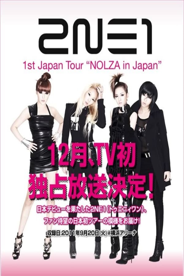 Cover of the movie 2NE1 1st Japan Tour