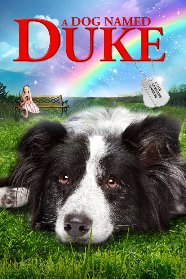 Cover of the movie A Dog Named Duke