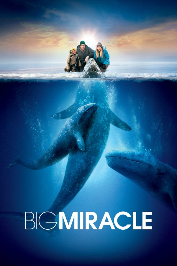 Cover of the movie Big Miracle