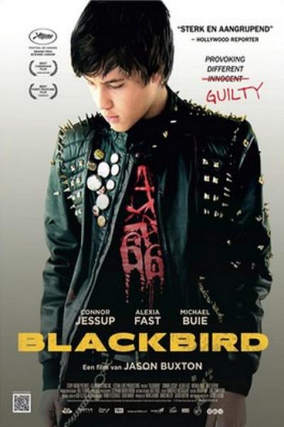 Cover of the movie Blackbird