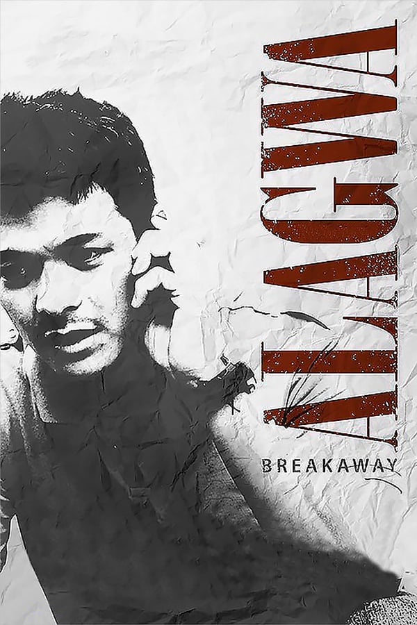 Cover of the movie Breakaway