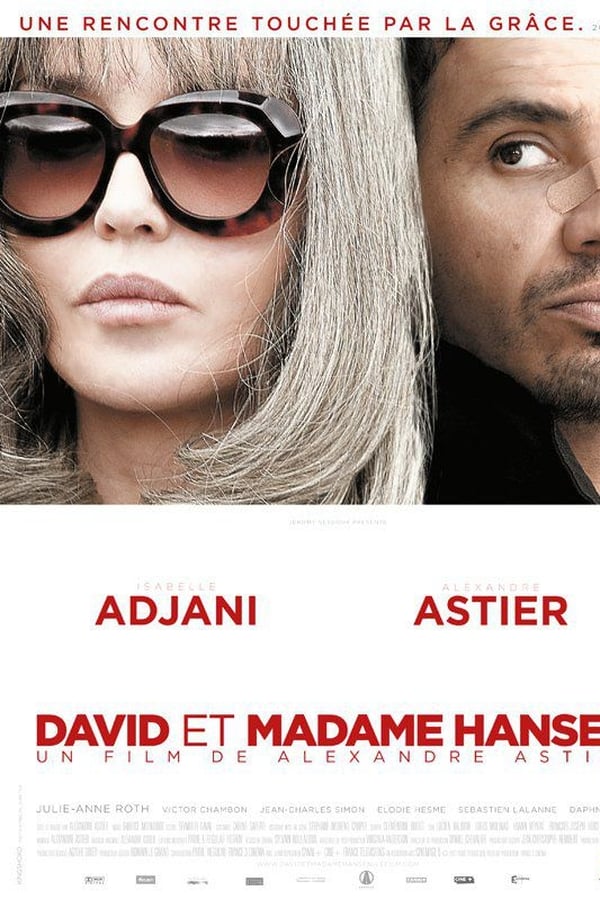 Cover of the movie David et Madame Hansen