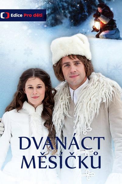 Cover of the movie Dvanáct měsíčků