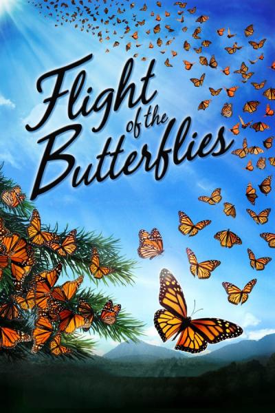 Cover of Flight of the Butterflies