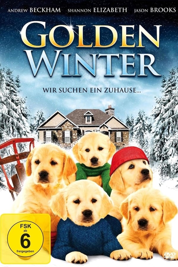 Cover of the movie Golden Winter