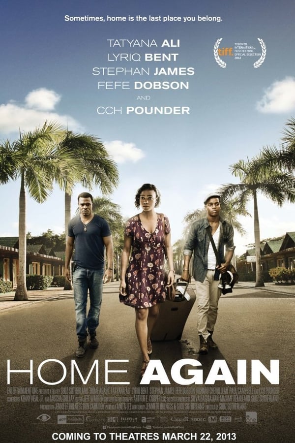 Cover of the movie Home Again