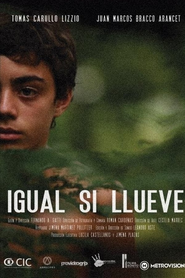 Cover of the movie Igual si llueve