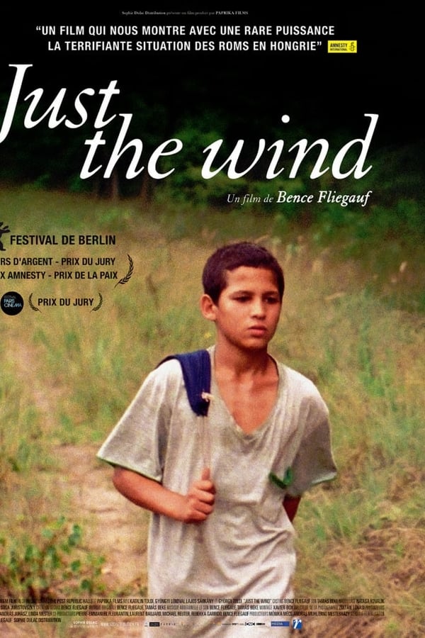 Cover of the movie Just the Wind