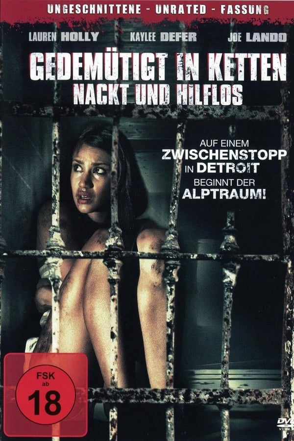 Cover of the movie Layover