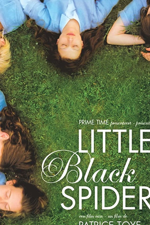 Cover of the movie Little Black Spiders