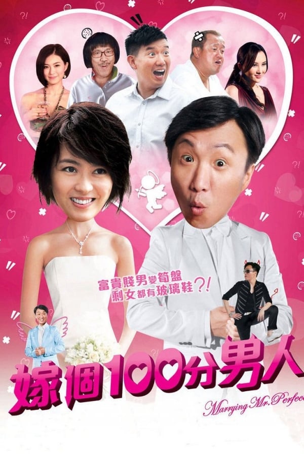 Cover of the movie Marrying Mr. Perfect