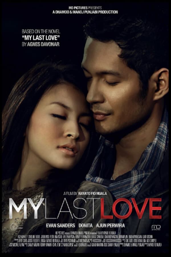 Cover of the movie My Last Love