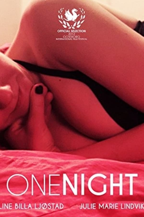 Cover of the movie One Night
