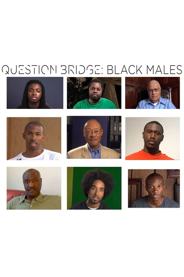 Cover of the movie Question Bridge: Black Males
