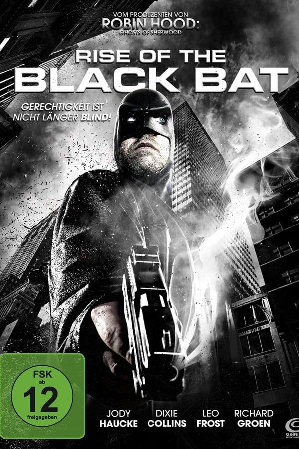 Cover of the movie Rise of the Black Bat