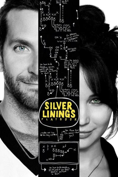 Cover of Silver Linings Playbook