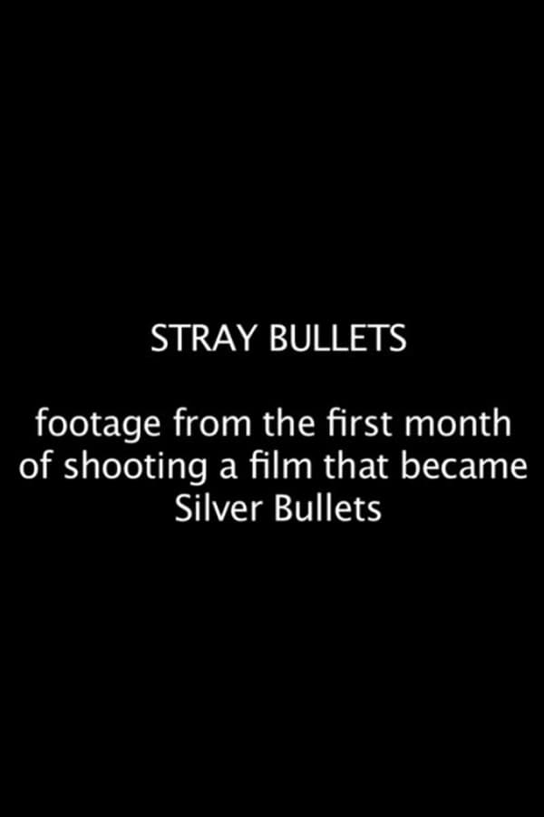 Cover of the movie Stray Bullets