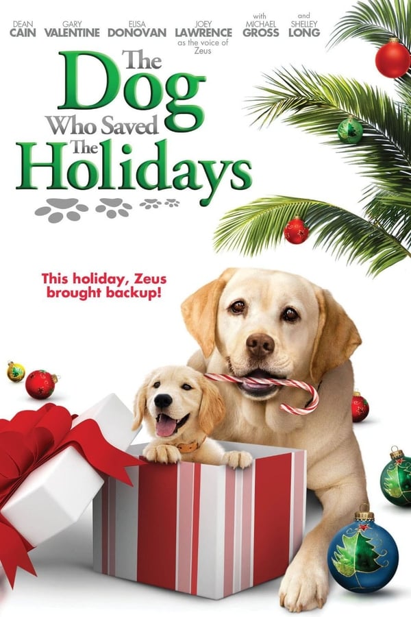 Cover of the movie The Dog Who Saved the Holidays