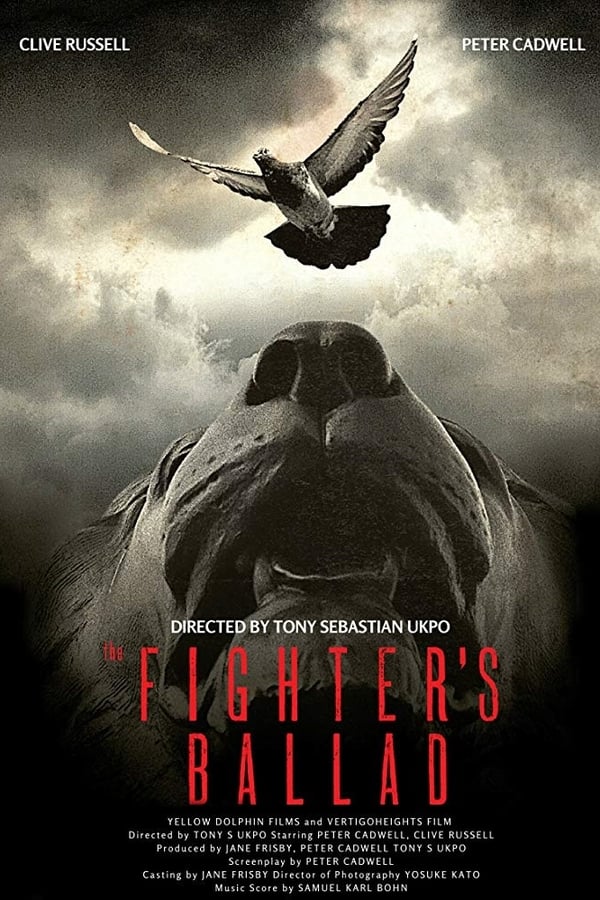 Cover of the movie The Fighter's Ballad