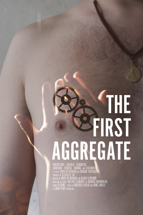 Cover of the movie The First Aggregate