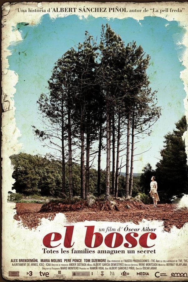 Cover of the movie The Forest