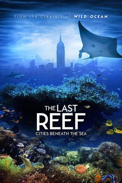 Cover of The Last Reef: Cities Beneath the Sea