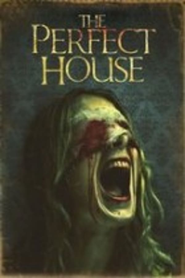 Cover of the movie The Perfect House