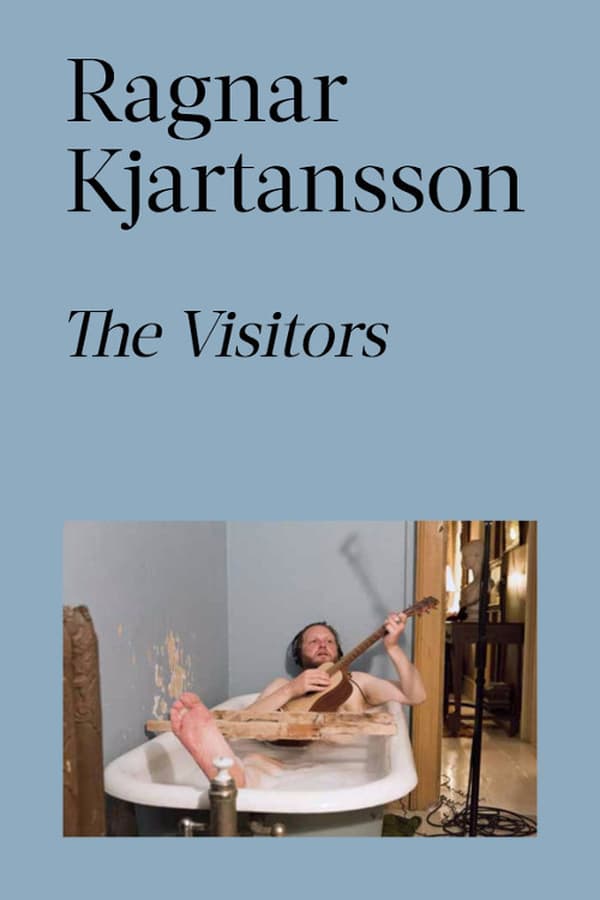 Cover of the movie The Visitors
