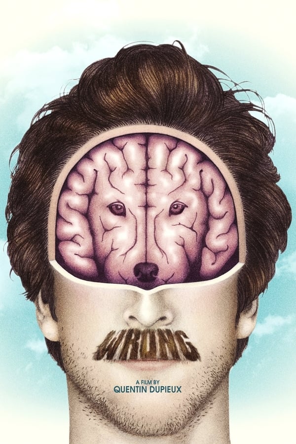 Cover of the movie Wrong