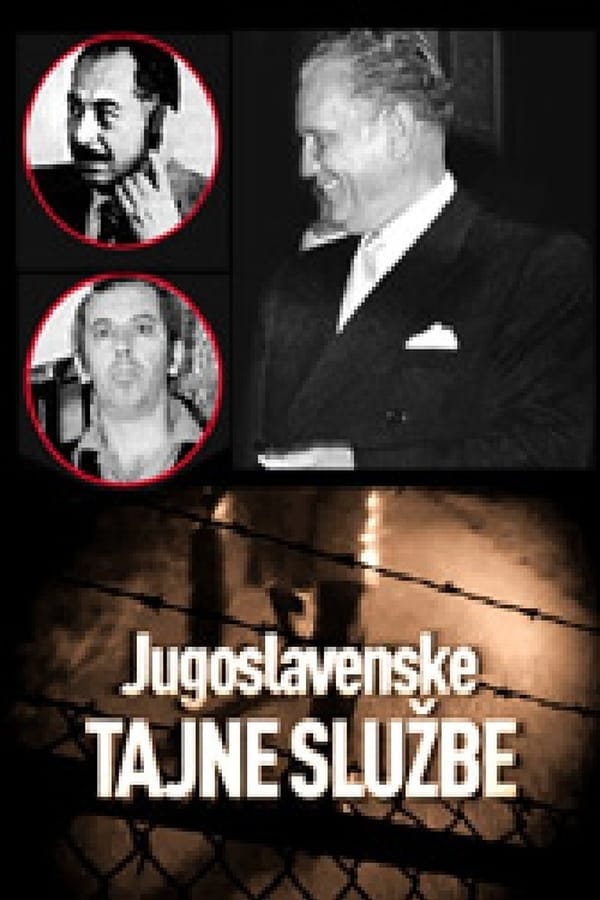 Cover of the movie Yugoslav Secret Services