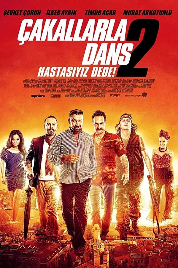 Cover of the movie Çakallarla Dans 2: Hastasıyız Dede