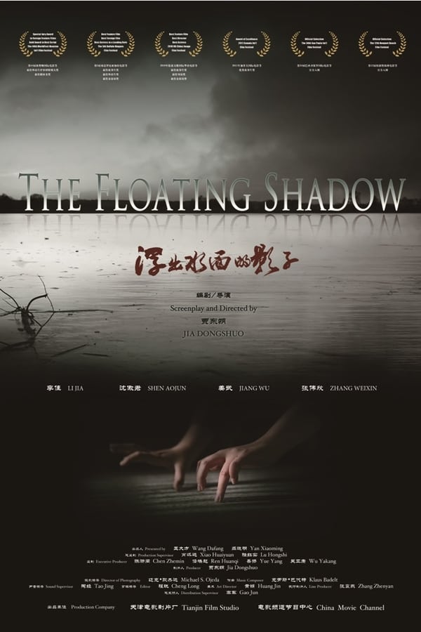 Cover of the movie 浮出水面的影子