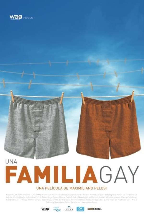 Cover of the movie A Gay Family