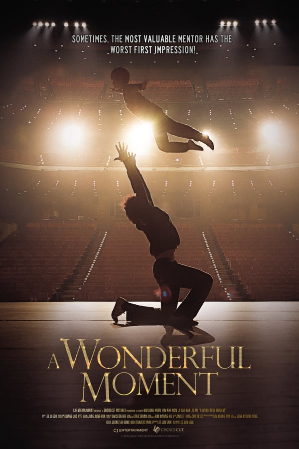 Cover of the movie A Wonderful Moment