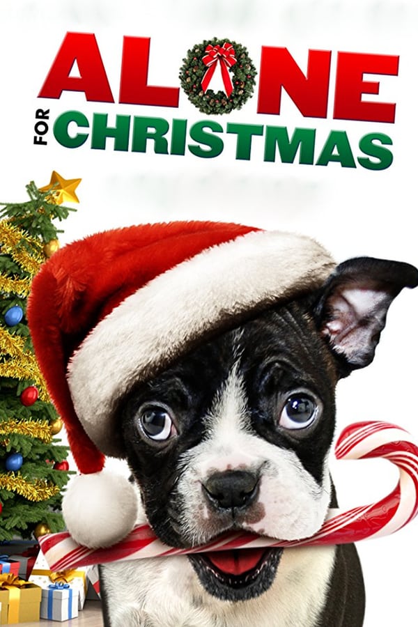 Cover of the movie Alone for Christmas