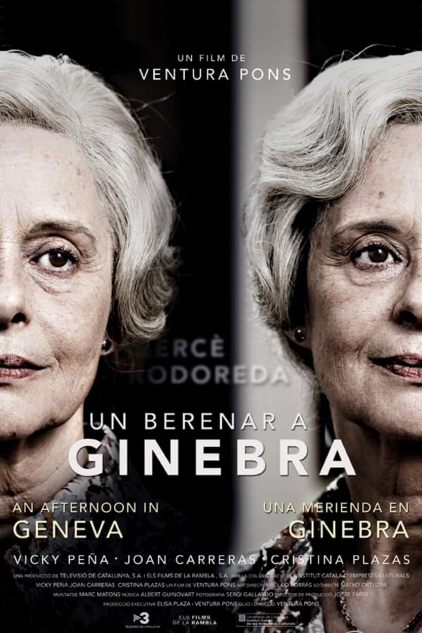 Cover of the movie An Afternoon in Geneva
