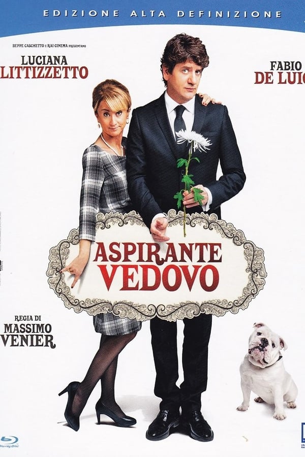 Cover of the movie Aspirante vedovo