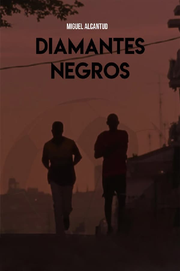 Cover of the movie Black Diamonds