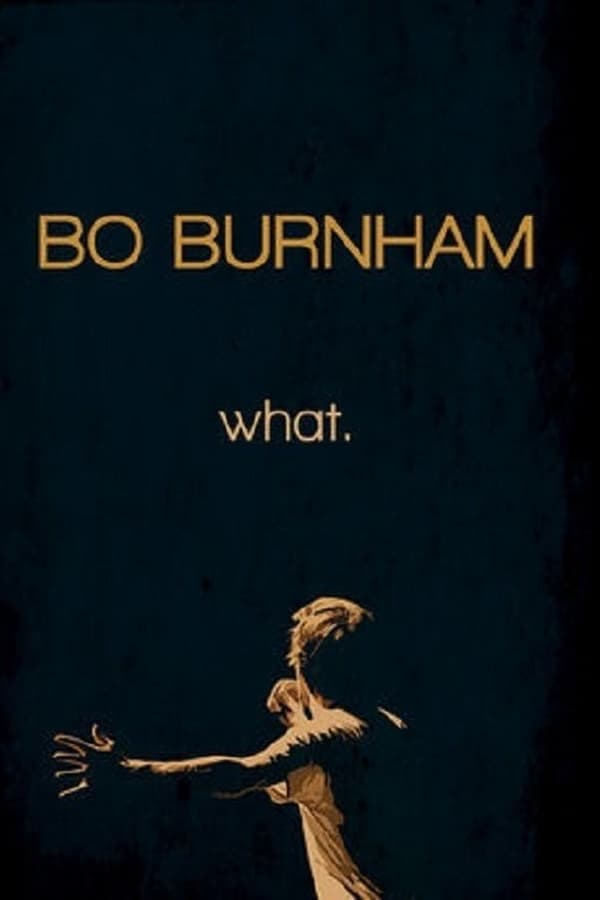 Cover of the movie Bo Burnham: What.