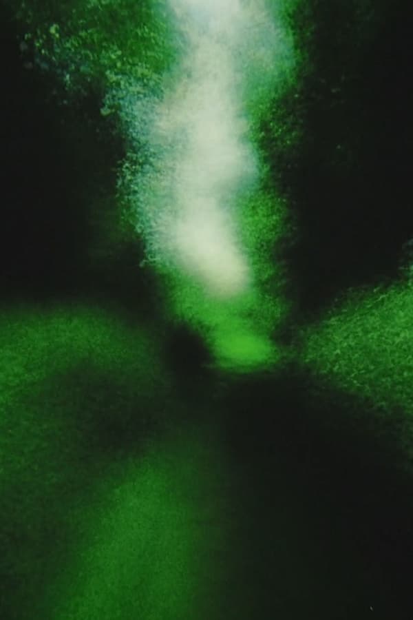 Cover of the movie Brouillard #12