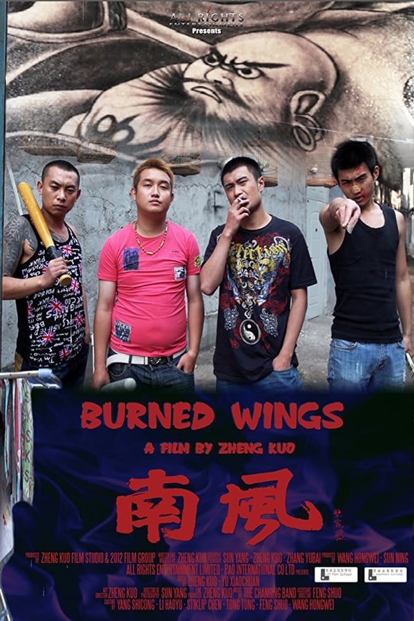 Cover of the movie Burned Wings